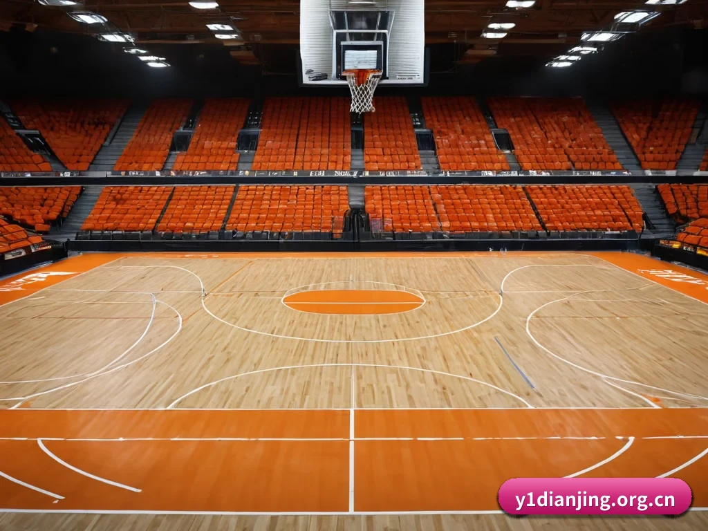 五个功能入口,赛程查询路径更短 - 多运动项目内容板块